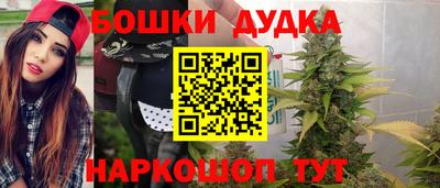 СК Лесосибирск