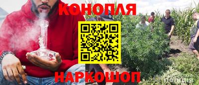 PSILOCYBIN Кулебаки