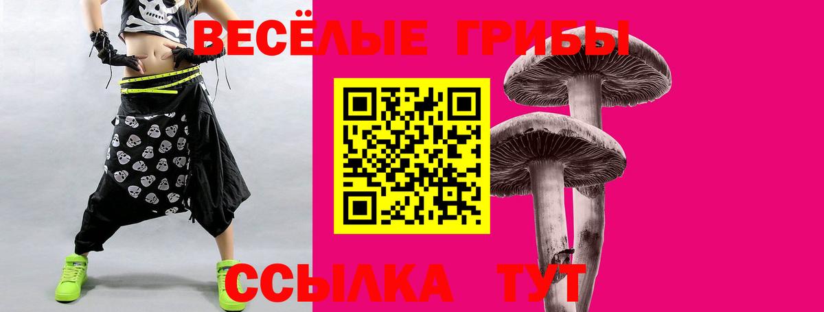 Галлюциногенные грибы прущие грибы  цены   Феодосия  Вход с VPN 