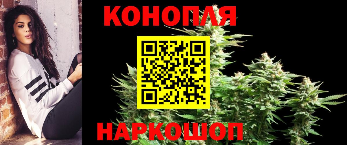 Бошки Шишки ГИДРОПОН  Канабис семена  Феодосия  Вход с VPN 
